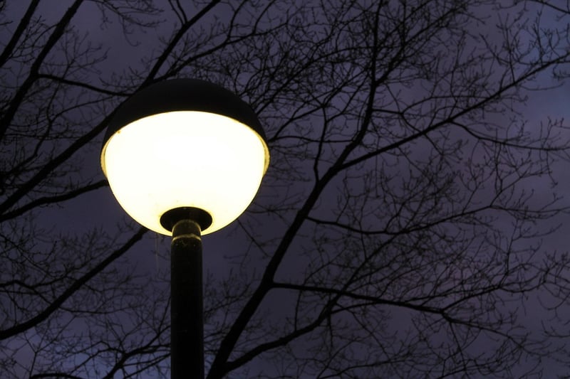 Artificial Lighting Options